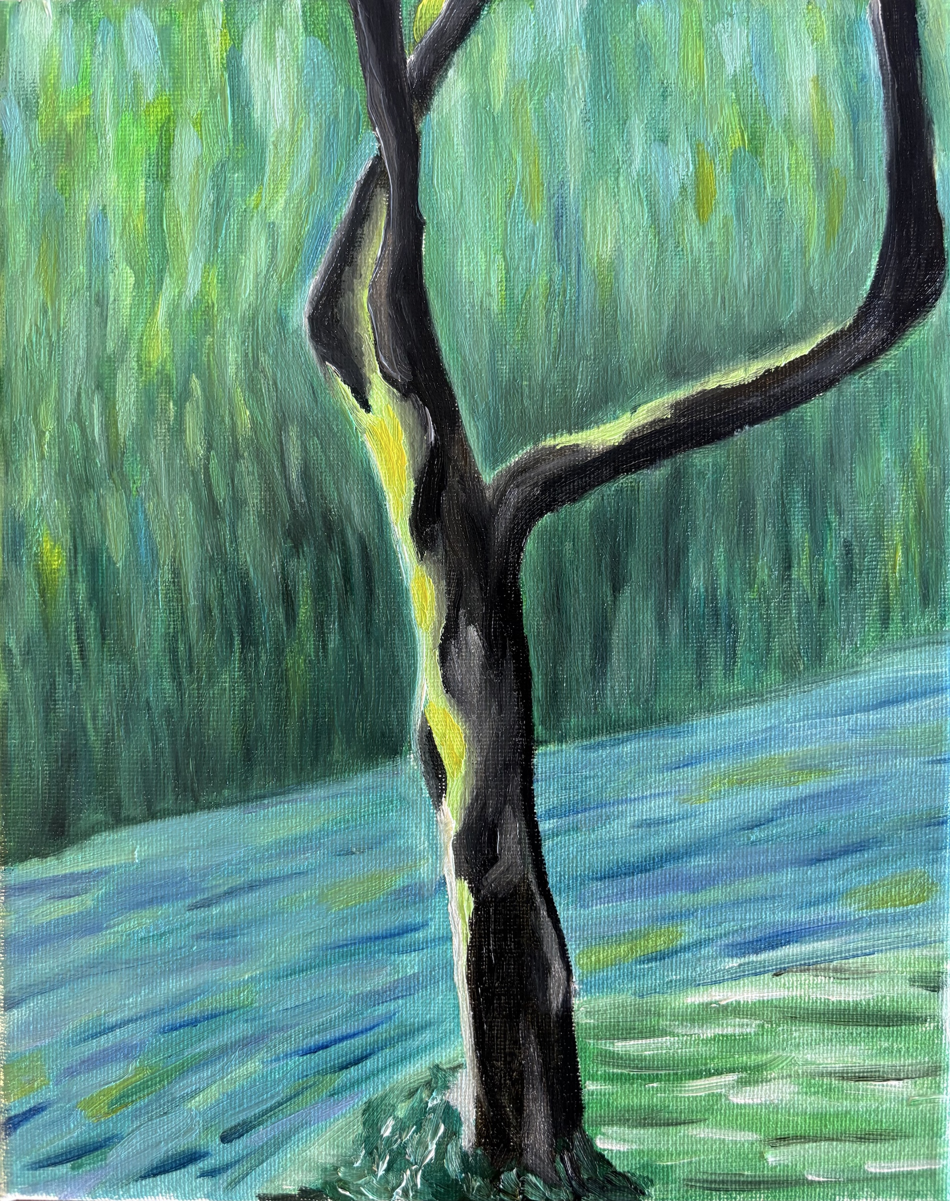 青苔树