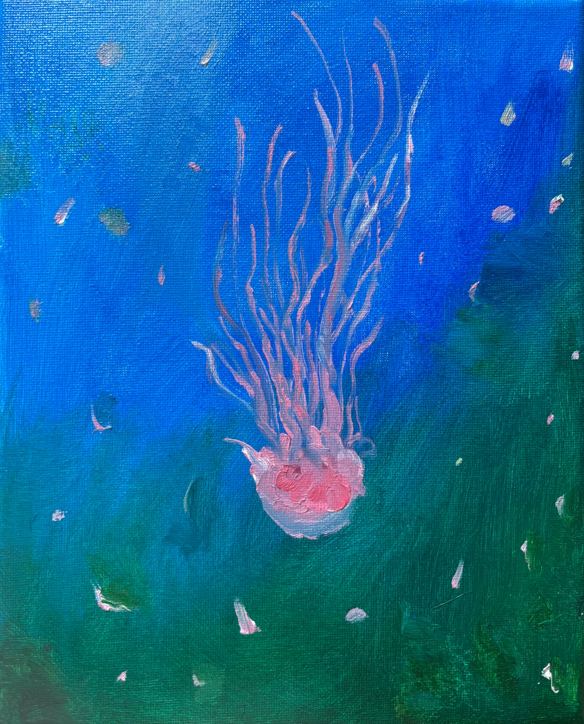 水母